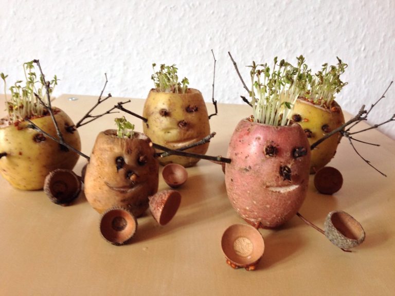 Qualität und Sicherheit nicht nur beim Essen Kartoffelfiguren mit Gesichtern aus unterschiedlichen Sorten und kleinen Pflanzen darüber.